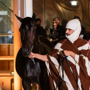 عروض الخيل العربية في فعاليات الدرعية بمناسبة يوم التأسيس. الصورة من الحساب الرسمي لهيئة تطوير بوابد الدرعية على منصة x عروض الخيل العربية في فعاليات الدرعية بمناسبة يوم التأسيس