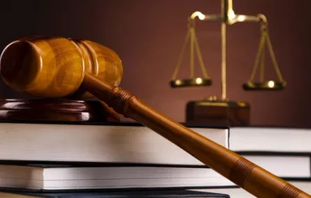 سيدة تقاضي زوجها لمناداته لها بـ«البقرة»