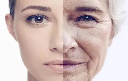 الابتعاد عن اللحوم الحمراء البقر والضأن يحارب الشيخوخة