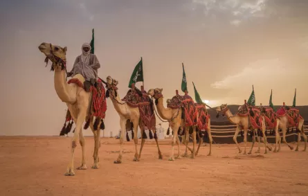 ولي العهد يوجه بانطلاق مهرجان الملك عبدالعزيز للإبل الثاني
