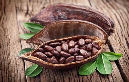ما مصير الشوكولاتة في العالم؟