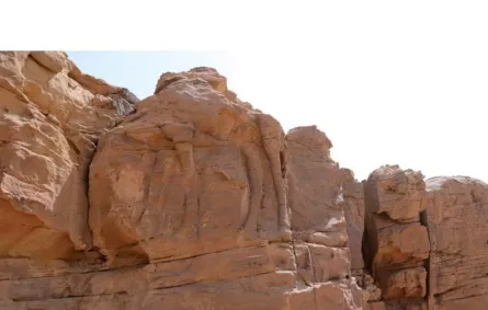 اهتمام واسع باكتشاف رسوم الجمال المنحوتة في الجوف