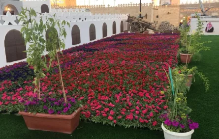 جناح مكة المكرمة.. المستقبل المشرق والماضي العريق