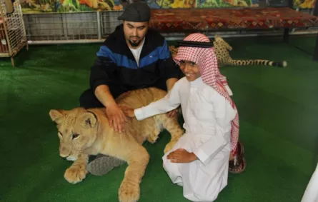 خيمة الوقاية من المخدرات" تجذب زوار "أرض المعرفة"