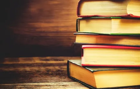 اكتشاف كتاب يحتوى بداخله على "قنبلة" في إسبانيا