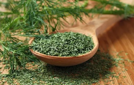 فوائد الشبت للقولون و14 فائدة صحية أخرى