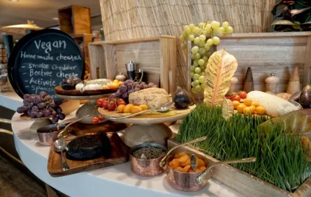 ذا رتريت نخلة دبي يطلق مفهومه الجديد برانش إزالة السموم