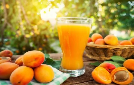 فوائد قمر الدين خلال الصيام لا غنًى عنها