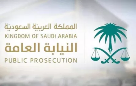 النيابة العامة تتوعد من ينشر المواد الإباحية بعقوبات وغرامات رادعة