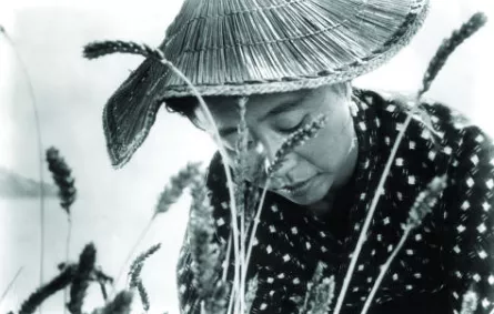 تجري أحداث الفيلم على جزيرة غير مأهولة من أرخبيل اليابان.jpg