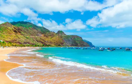 جزر الكناري في سياحة عام 2020