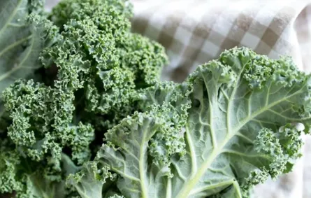 فوائد الكرنب في خسارة الوزن ومحاربة كورونا رائعة