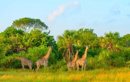 اماكن سياحية في تنزانيا