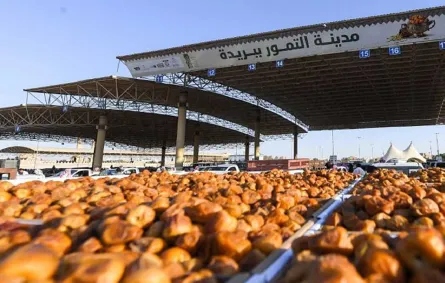 مهرجان تمور في القصيم 