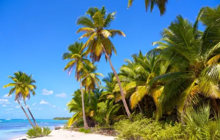 أجمل اماكن شهر العسل في شهر يناير