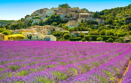 السياحة في فرنسا: سحر الشواطئ والترفيه في بروفانس