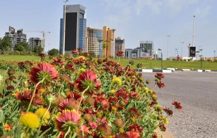 نشاطات يمكنك القيام بها خلال عيد الأضحى في السعودية