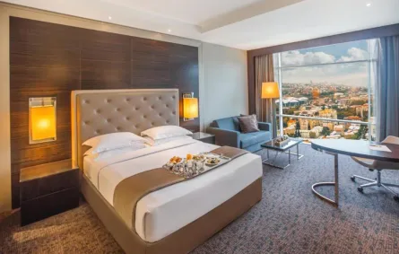 أجمل فنادق جورجيا