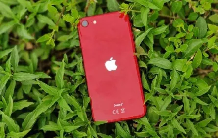  أعرف الفرق بين هاتفى iPhone SE 2022 وPixel 6a  