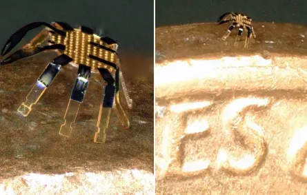 أصغر روبوت على شكل سلطعون - الصورة من skynews