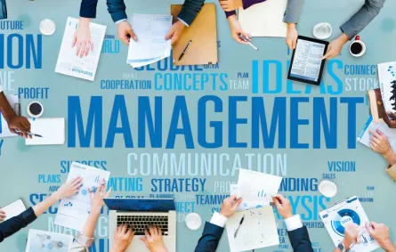 أنوع الإدارات في الشركات