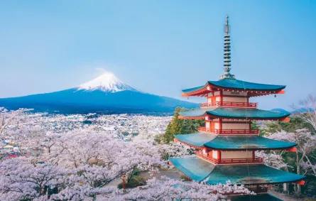 أمور ضرورية يجب معرفتها قبل السفر إلى اليابان