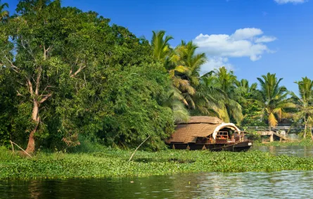 معلومات أساسية قبل زيارة ولاية كيرالا الهندية