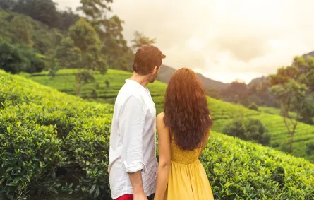 أفضل أماكن شهر العسل في سريلانكا