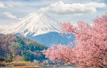 قائمة بأبرز المهرجانات حول العالم في مارس عام 2023