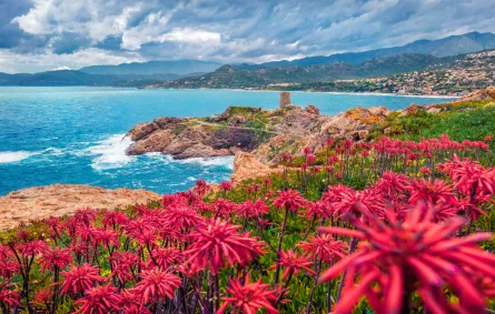 متعة السياحة في جزيرة كورسيكا  