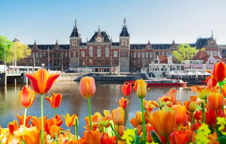 التخطيط للسفر إلى أمستردام
