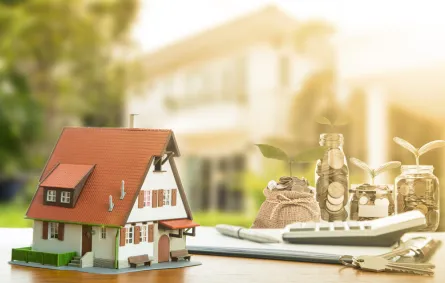 الاستثمار العقاري 