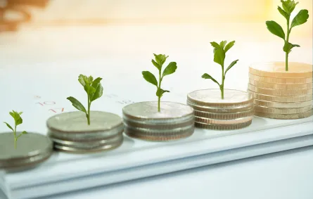 شروح عن الصناديق الاستثمارية