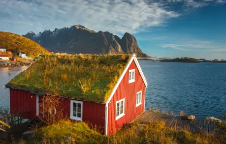 لقطة في أيسلندا  