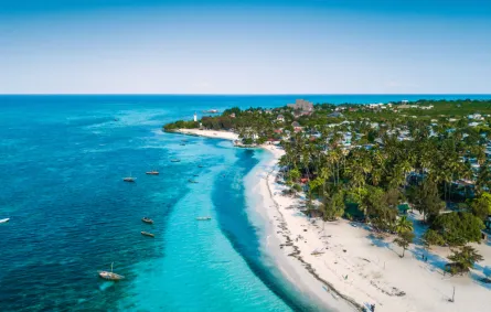 لقطة في زنجبار