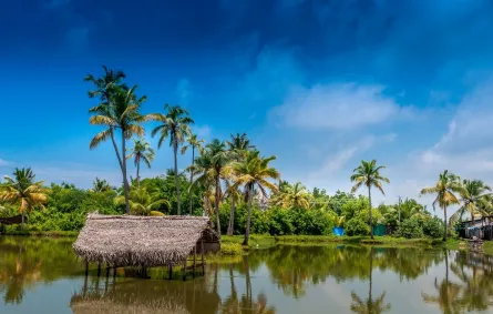 كوتشي هي مقصد سياحي شهير