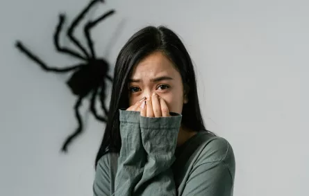 علاج قرصة العنكبوت 