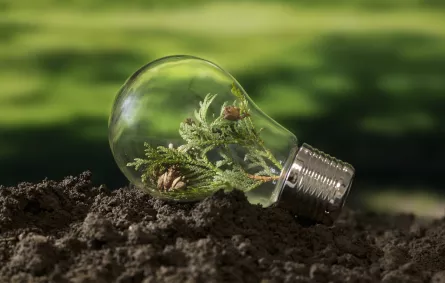 مجموعة من النصائح والجهود لتحفيز الشركات والموظفين على تطبيق مبادئ الاستدامة في العمل