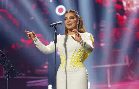 حفل الفنانة أصالة- الصورة من المكتب الإعلامي لمجموعة روتانا للموسيقى