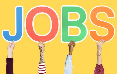 هل نحلم بوظائف كبيرة لكن نرتكب أخطاء صغيرة تُبعدنا عنها؟