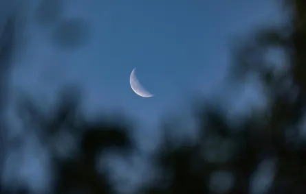 هلال صفر يزين سماء السعودية بالتزامن مع ظاهرة نور الأرض - الصورة من pexels by izafi