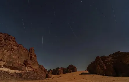 فعالية
