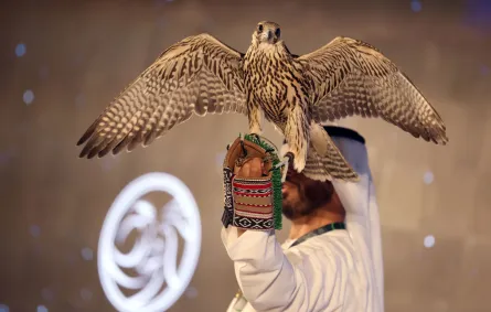 مشاركة الصقارين بمعرض أبوظبي للصيد والفروسية. الصورة من وكالة الأنباء الإماراتية "وام" 