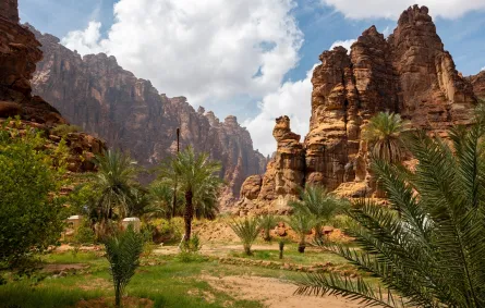 وادي الديسة في منطقة تبوك 