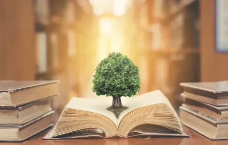 محو الأمية حق أساسي من حقوق الإنسان وهو ما أقرته الأمم المتحدة