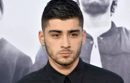 زين مالك Zayn Malik في لوس أنجليس عام 2015 (مصدر الصورة: KEVIN WINTER / GETTY IMAGES NORTH AMERICA / Getty Images via AFP)