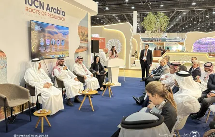 المؤتمر العالمي للحفاظ على الطبيعة 2025