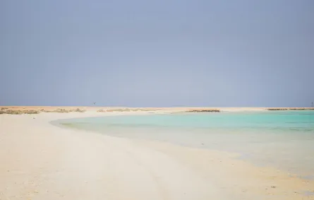 دراسة 