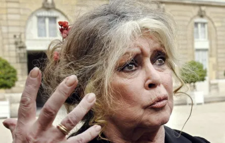 بريجيت باردو في باريس ( Brigitte Bardot in paris ). مصدر الصورة: Eric Feferberg / AFP