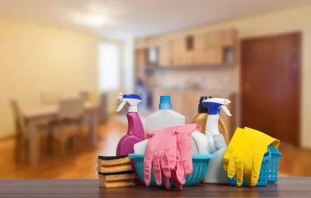 تنظيف المنزل